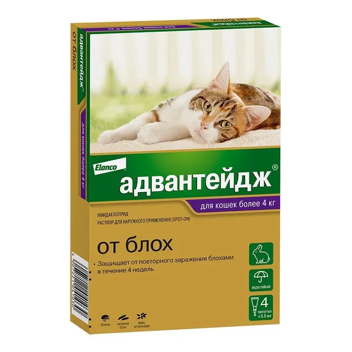 Адвантейдж ® (Advantage®) Противопаразитарные капли от блох на холку для кошек весом более 4 кг, 1 доза