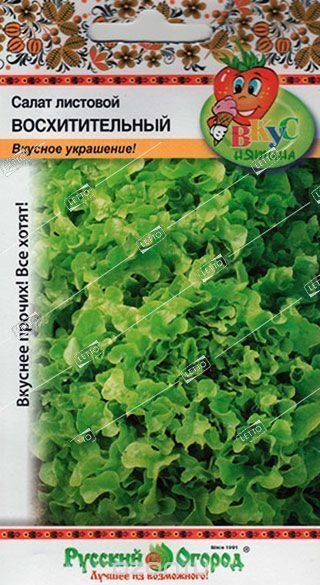Н/салат Восхитительный F1 листовой Вкуснятина *200шт