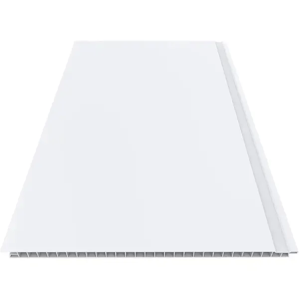 Стеновая панель ПВХ белый матовый 3000x250x9 мм 0.75 м²