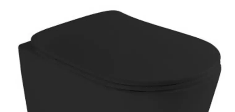 Сиденье для унитаза «Axa» Eva AF8807 ультратонкое дюропласт с микролифтом черное матовое