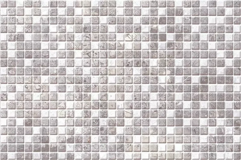 Настенная мозаика «Axima» Мерида 30x20 СК000036444 серый