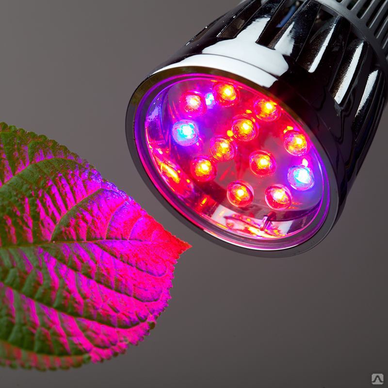 Светодиодный светильник для растений GLF1-600-8BT-FITO спектр для рассады 1/30, 8 Вт, 572х22х33 мм