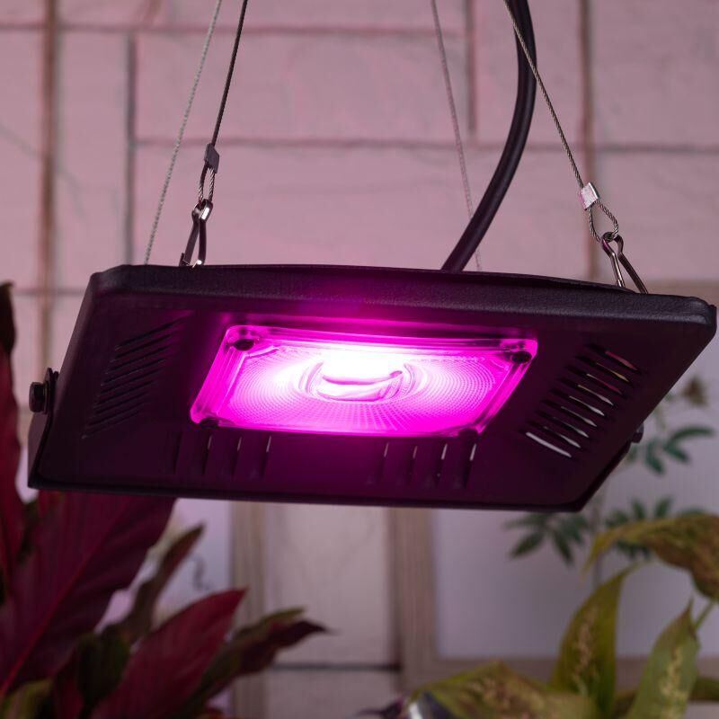Прожектор светодиодный для растений FITO-50W-LED BLUERED 50Вт IP65 220-240В -30град. до + 45град. 30000ч для цветения и