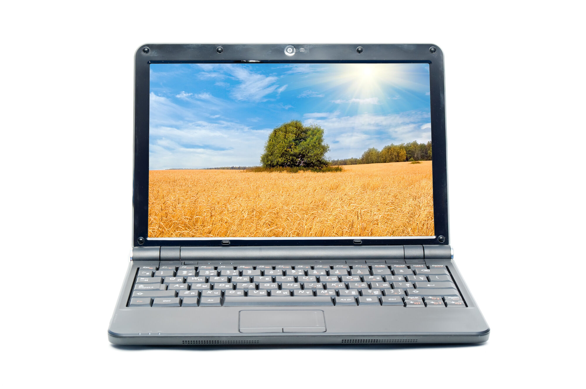 Ноутбук ASUS VivoBook 17 F712EA-BX368 17.3" серебристый [1600x900. TN+film. Intel Pentium Gold 7505. ядра: 2х2 ГГц. RA
