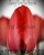 Луковицы тюльпанов сорт Red Impression #1