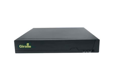 IP Видеорегистраторы гибридные Giraffe GF-DV04801