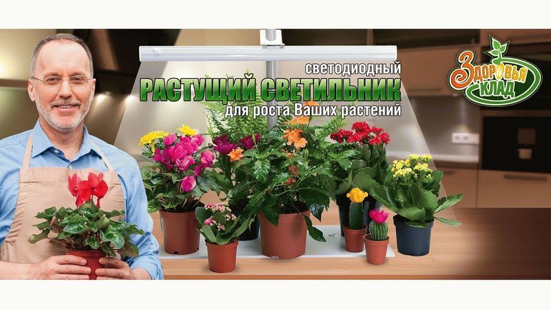 Фитосветильник «растущий светильник 9 Вт»