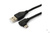 Кабель Cablexpert USB 2.0, двусторонний разъем microB, AM/microB 5P, 1.8 м, CCB-USB2-AMmDM90-6 #2