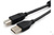 Кабель Cablexpert USB 2.0 Pro AM/BM, 1.8 м, экранированный, 2 ферритовых кольца, черный, пакет, CCF2-USB2-AMBM-6 #2