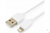 Кабель Гарнизон USB A (M) - Lightning, 0.3 м, белый GCC-USB2-AP2-0.3M-W #2