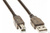 Кабель Telecom, USB2.0 AM/BM 1.8m, прозрачная изоляция VUS6900T-1.8M #2