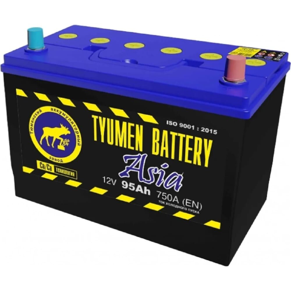 Аккумуляторная батарея TYUMEN BATTERY TNSa95.0